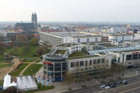 开云体育入口-未来城市：未来世俱杯主办城市展望，未来世界城