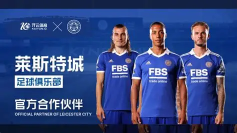 开云·体育（官网）APP下载-KAIYUN SPORTS